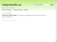 sallyslantliv.se