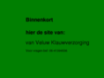 van-veluw.com