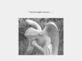 angel-shadows.com