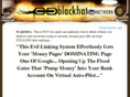blackhatlinknetwork.com