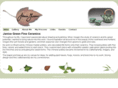 janicegreenfineceramics.com