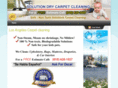 ladrycarpetcleaning.com