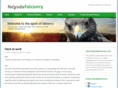 nevadafalconry.com