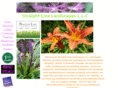 straightlinelandscapes.com