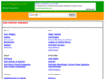 irishgenius.com