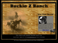rockinz.com