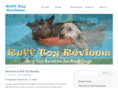 rufftoyreview.com