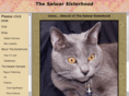 thesalwarsisterhood.com