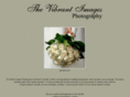 thevibrantimages.com
