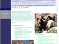 hollconsulting.com