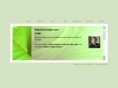 waynecarringer.com