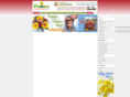 christmasflowersdirect.com