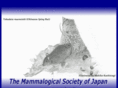 mammalogy.jp