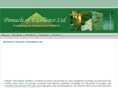 pinnacle-of-excellence.com