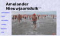 amelandernieuwjaarsduik.nl