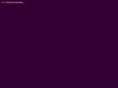 kamelotknights.com