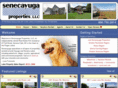 senecayuga.com