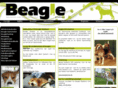 beagleclub.dk
