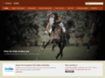 polo4kids.org