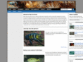 reeflifesurvey.com
