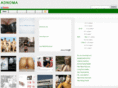 adnoma.net
