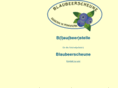 blaubeerscheune.com