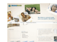 bridgeriverllc.com