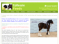 collessiefeeds.com