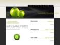 greenbusinesssolutionsllc.com
