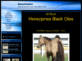 hjblackotoe.com