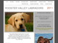 roostervalleylab.com