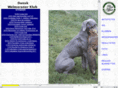 weimaraner.dk