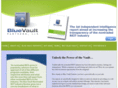 bluevaultpartners.com