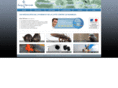 easyservices.fr