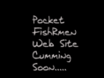 pocketfishrmen.com