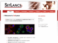 setlance.com