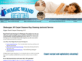 sheboygancarpetcleaner.com