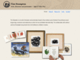 timstampton.com