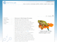 webdesignworcester.com