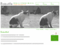 bokulife.com