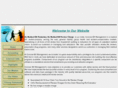 concisebillmanagement.com