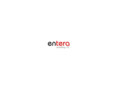 enteraconsulting.com