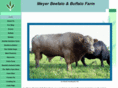 meyerbuffalofarm.com