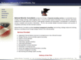 nationalminorityconsultants.com