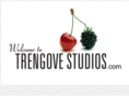 tengrovestudios.com