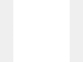 artistsinmaine.com