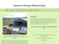horsesofcourseinc.com