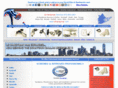 ldhandyman.com