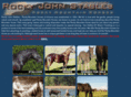 rockyjohn.com