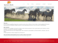 spanisch-in-berlin.com